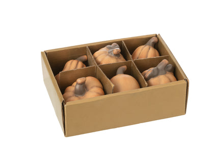 Doos van 6 pompoenen porselein bruin