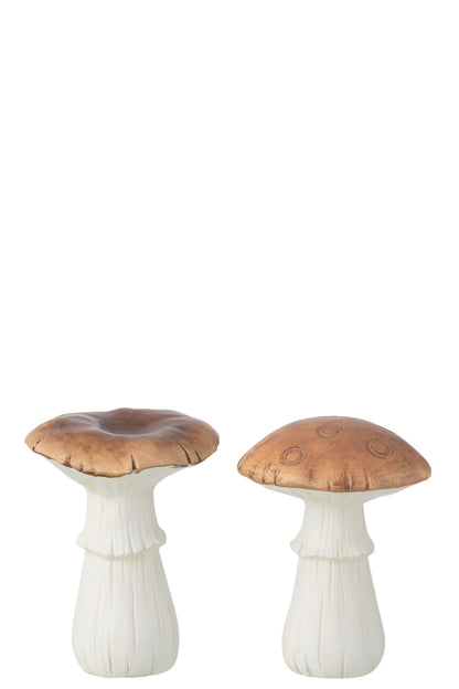 Paddenstoel Porselein Wit/Bruin Groot Assortiment Van 2