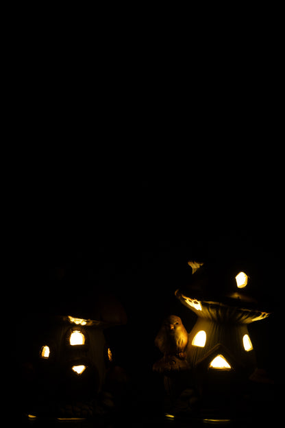 Paddenstoelhuisje met LED-porseleinmix assortiment van 2