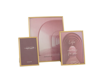 Fotolijst Tracy Staal Mat Goud Groot