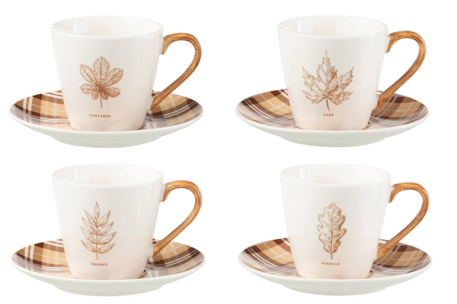J-Line Doos met 4 theekopjes + schotels Blad Windownbox Keramiek Bruin Groot