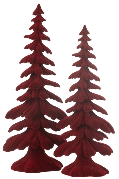 Sparboom fluweelhars rood groot