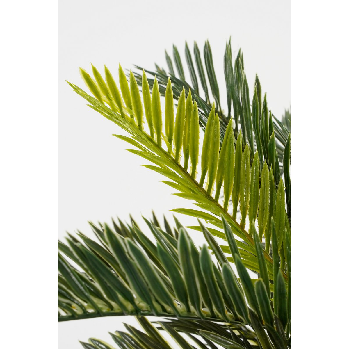 Cycas Palm Kunstplant in Bloempot Stan - H33 x Ø34 cm - Groen