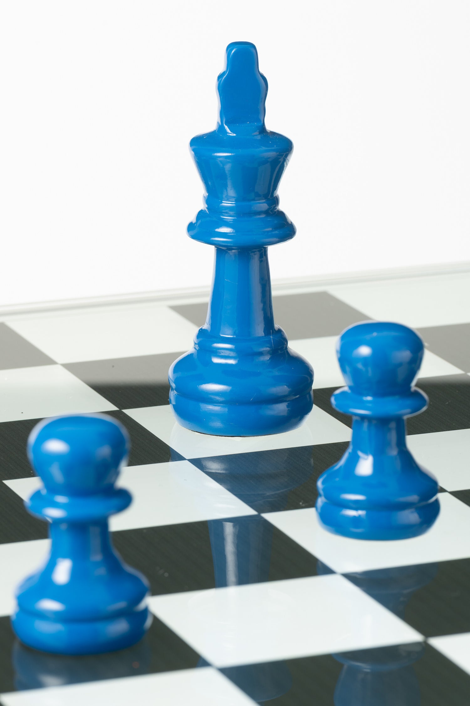 Schaakspel Dieren Hars Blauw/Oranje