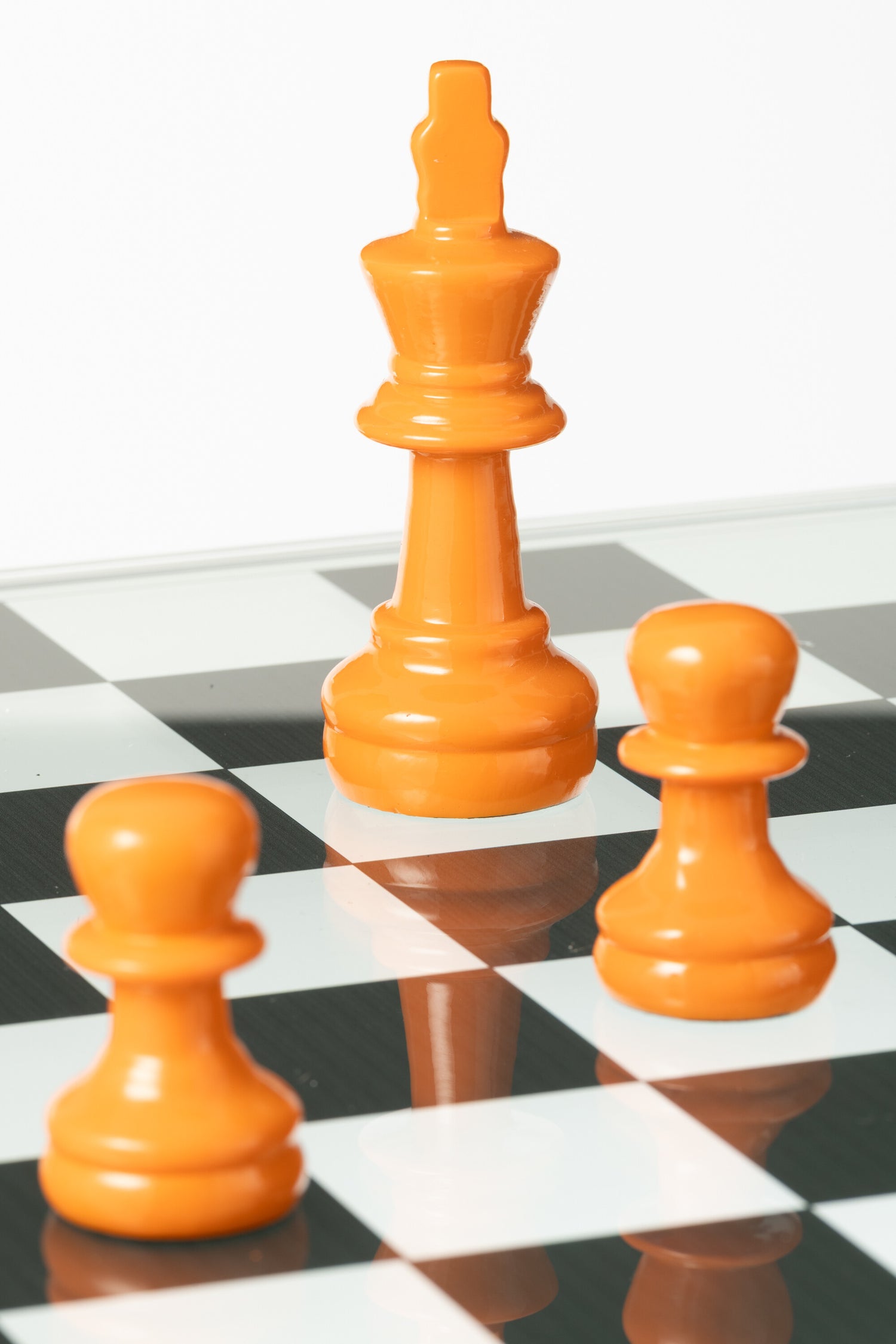 Schaakspel Dieren Hars Blauw/Oranje