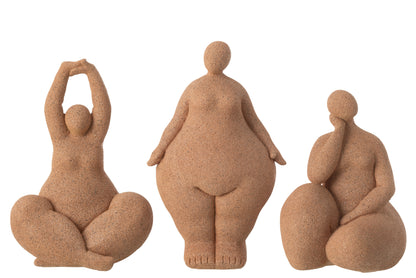 Vrouwen Modern Hars Terra Groot Assortiment Van 3