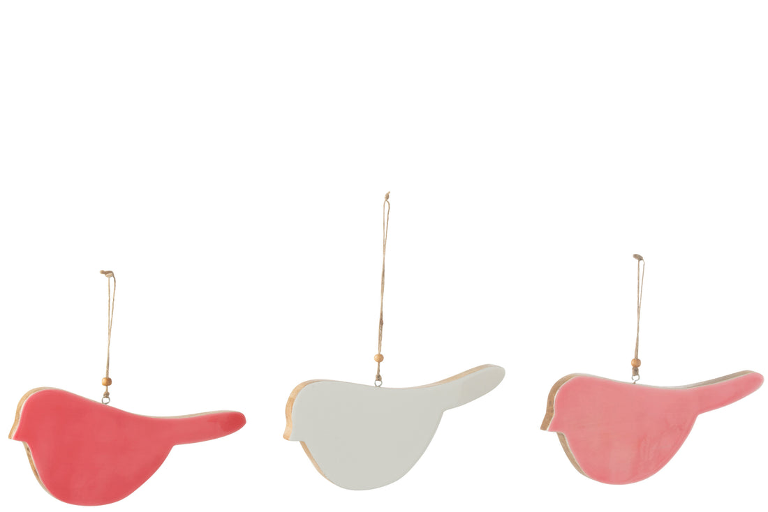 Hanger Vogel Mangohout Mix Groot Assortiment Van 3