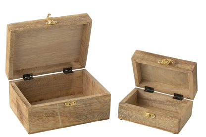 Set van 2 dozen Hart Mangohout Rood