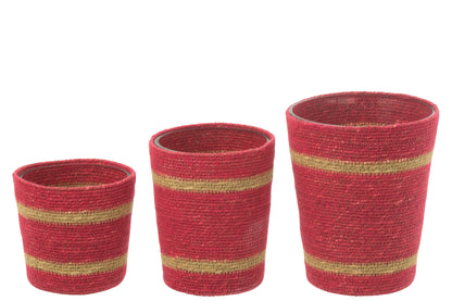 Geurende Kaars Mand Was Fuchsia Groot-75 Uur