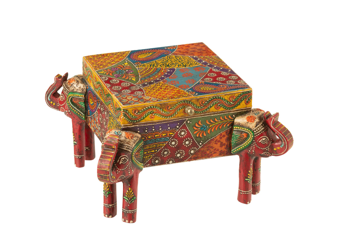 Doos Olifantenpoten Delhi Mangohout Mix