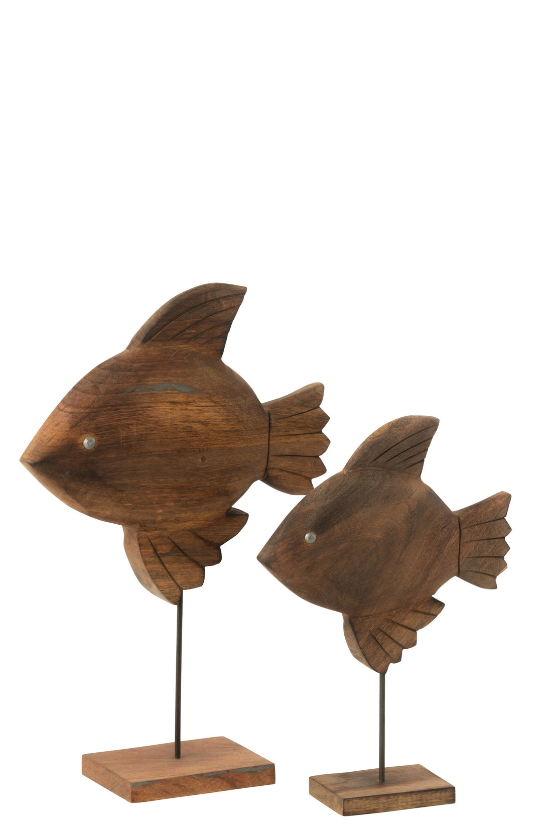 Decoratievis Mangohout/Metaal Bruin/Zwart Groot