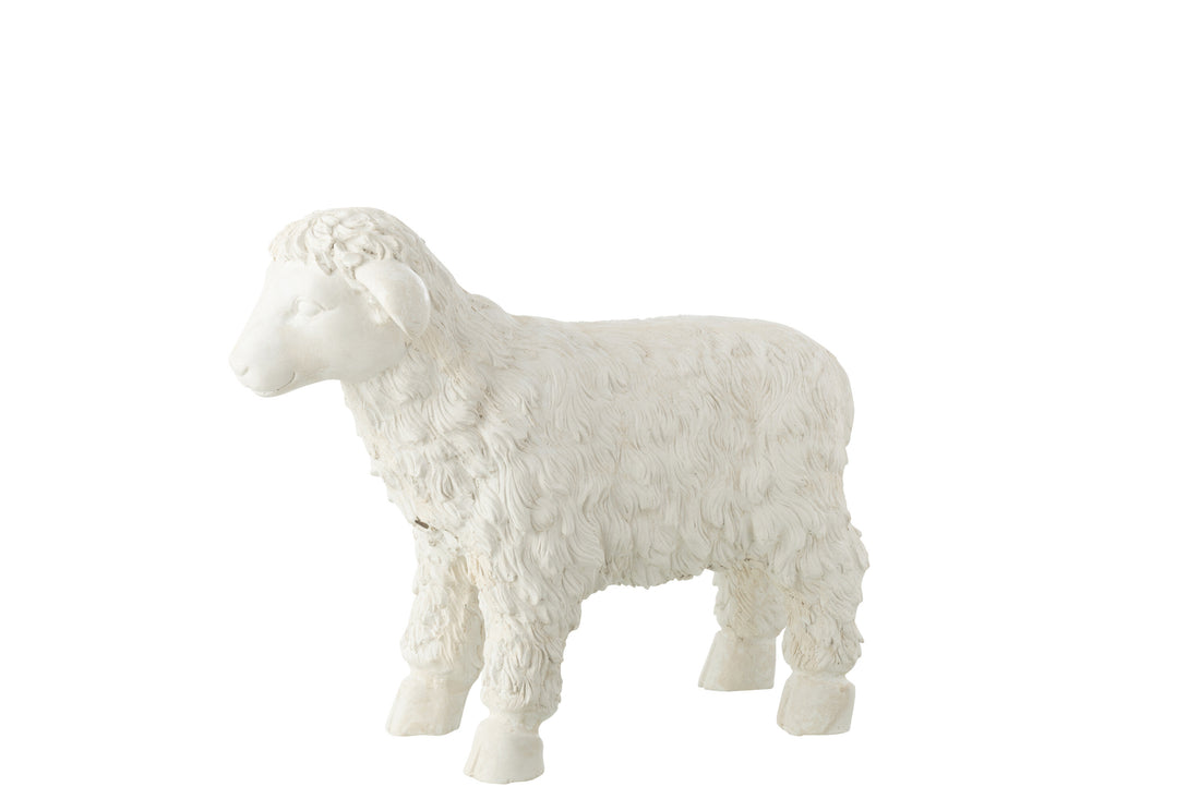 Schaap Buiten Mgo Beige Klein