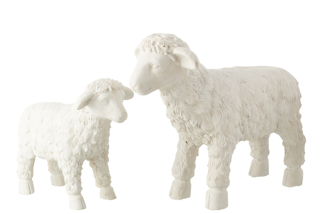 Schaap Buiten Mgo Beige Groot