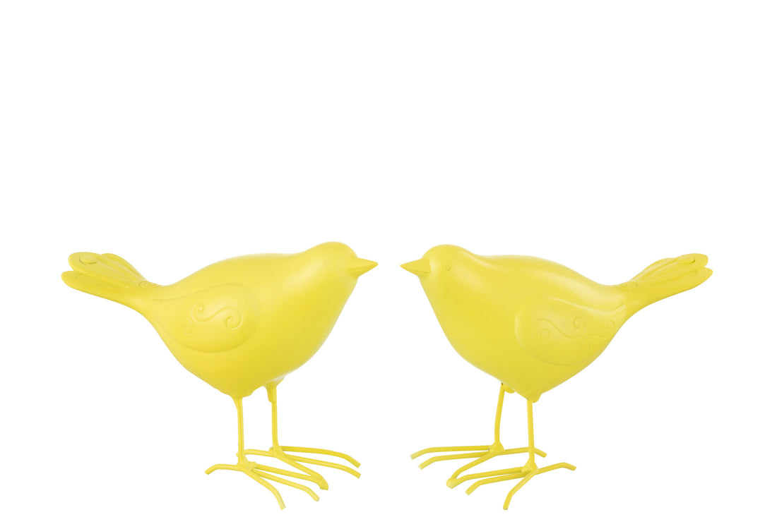 Vogel Polyresin Geel Groot Assortiment Van 2