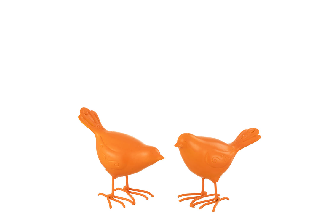Vogel Polyresin Oranje Klein Assortiment Van 2