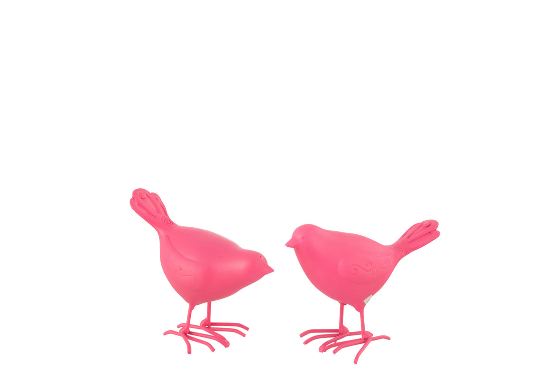 Vogel Polyresin Roze Klein Assortiment Van 2