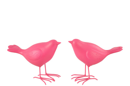 Vogel Polyresin Roze Groot Assortiment Van 2