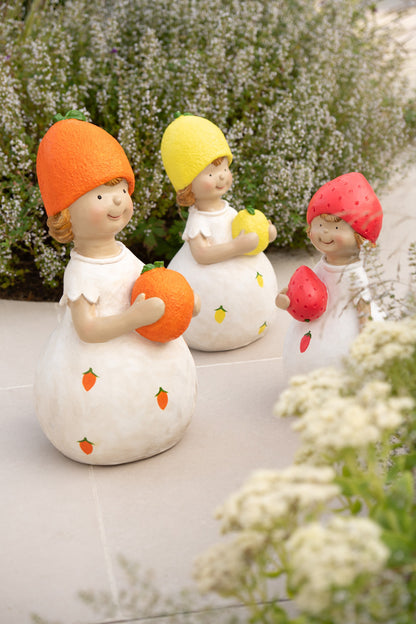 Kind Fruit Outdoor Mgo Kleine Assortiment Van 3
