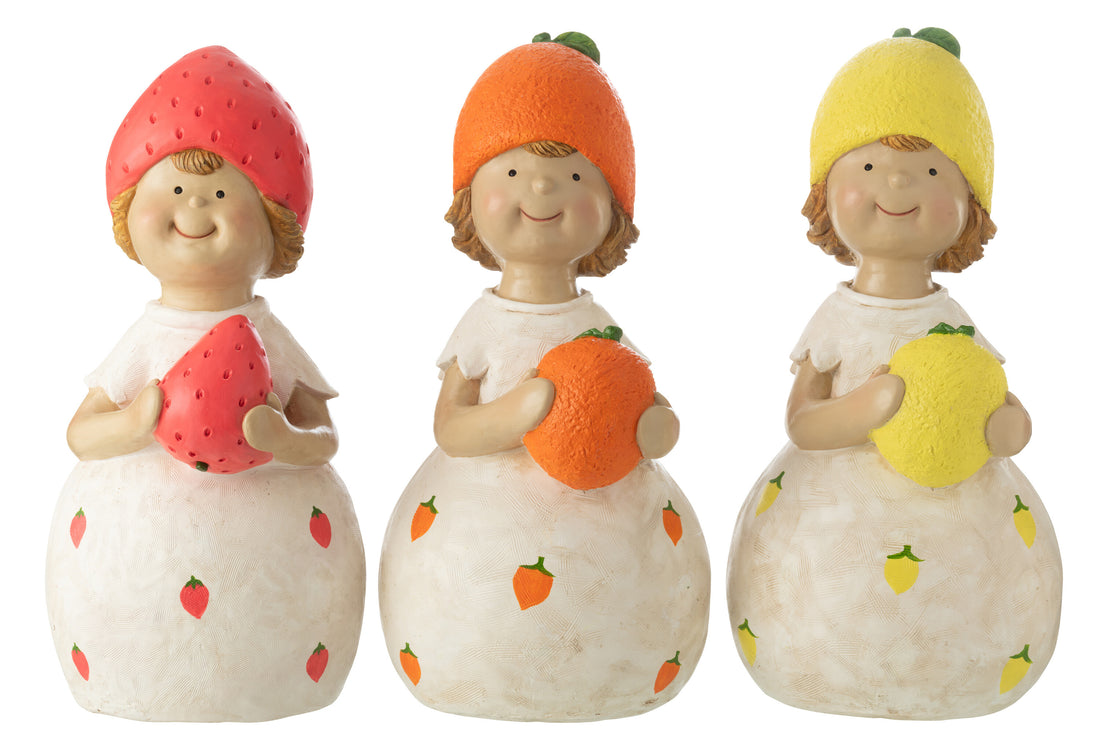 Kind Fruit Outdoor Mgo Groot Assortiment Van 3