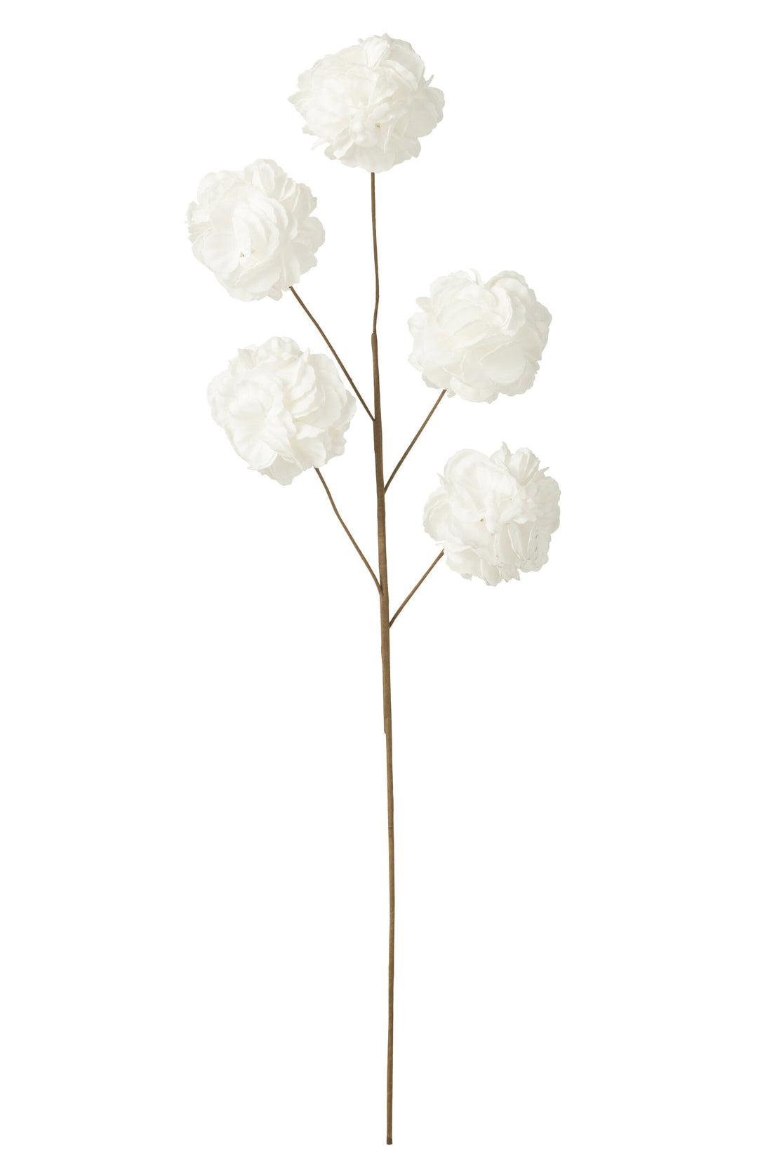 Bloementak 5 Pompoms Eva Wit