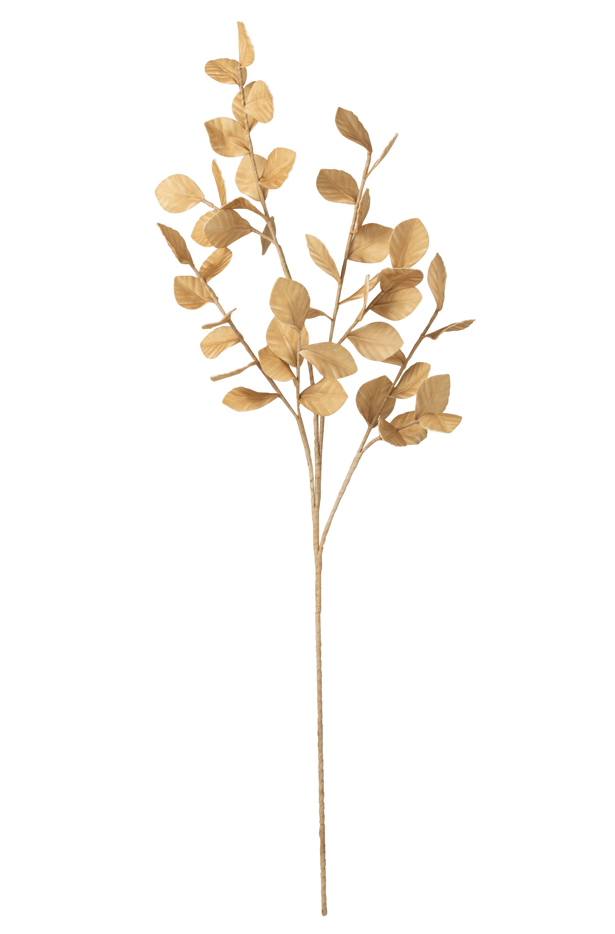 Tak Bladeren Eva Mais