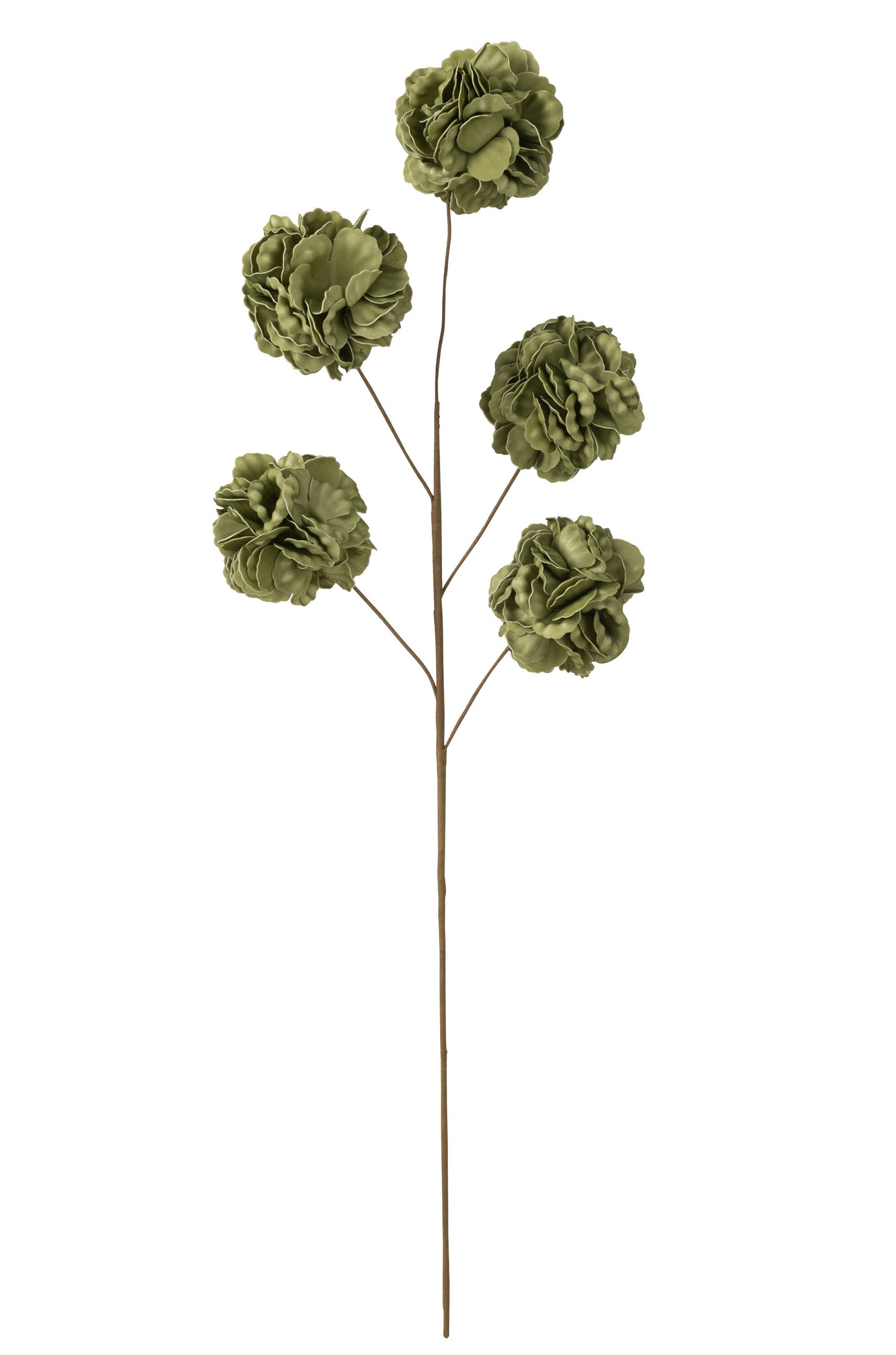 Bloementak 5 Pompoms Eva Groen