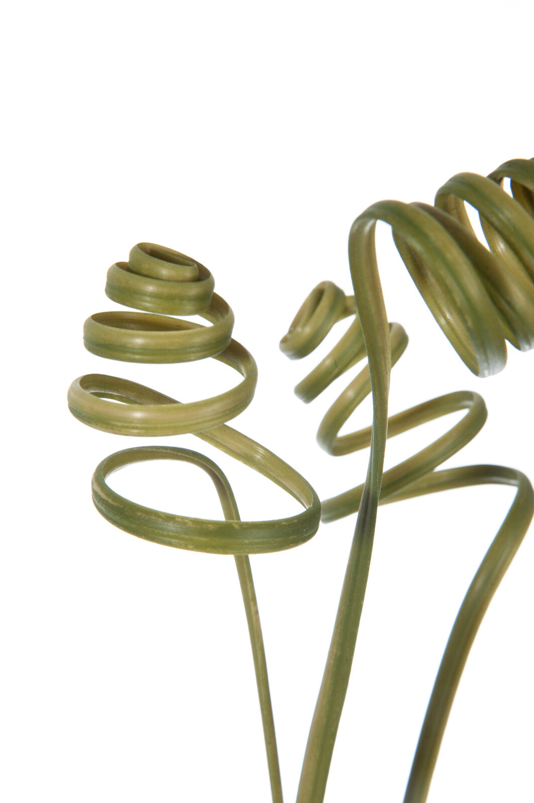 J-Line Gras Krul 3 Delig 100Cm