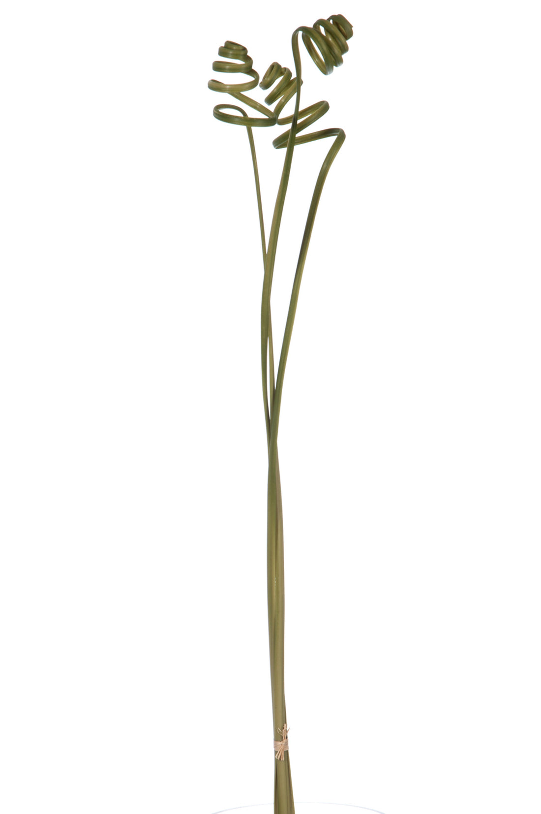 J-Line Gras Krul 3 Delig 100Cm