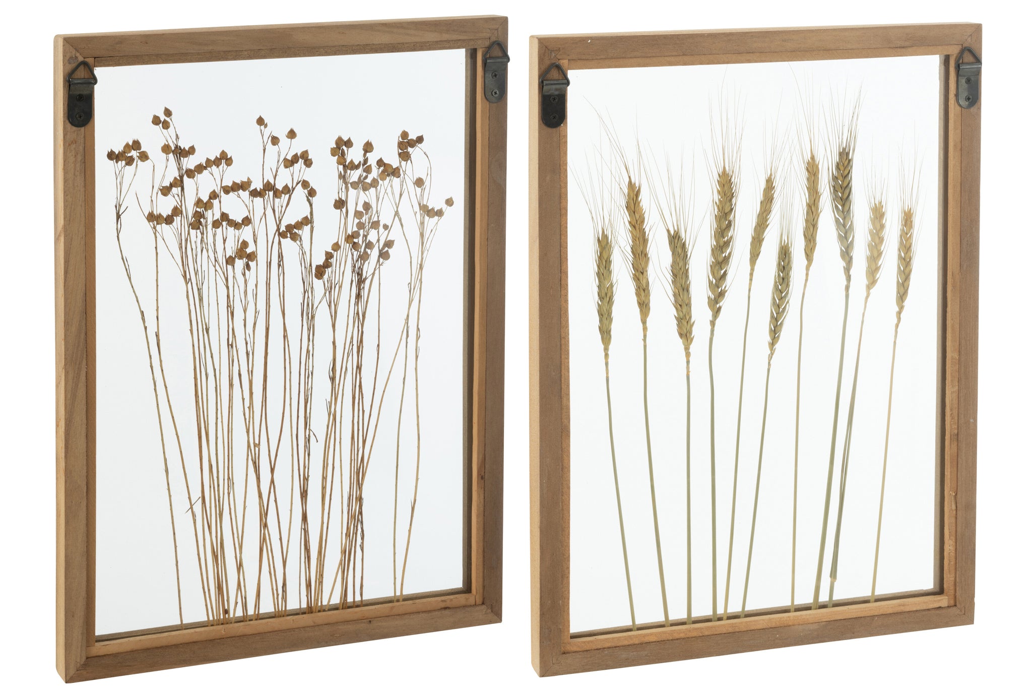 Wall Decoration Cereal Pinewood/Glass Transparent/Brown Assortment Of 2