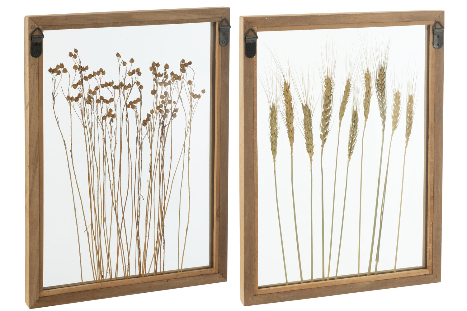 Wall Decoration Cereal Pinewood/Glass Transparent/Brown Assortment Of 2