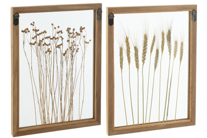 Wall Decoration Cereal Pinewood/Glass Transparent/Brown Assortment Of 2