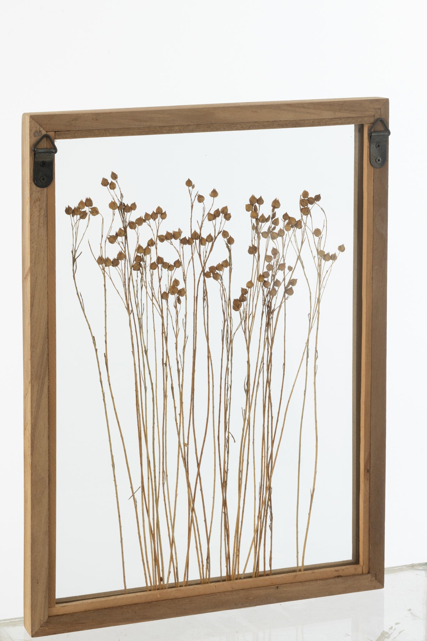Wall Decoration Cereal Pinewood/Glass Transparent/Brown Assortment Of 2