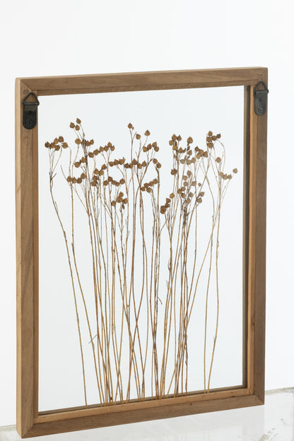 Wall Decoration Cereal Pinewood/Glass Transparent/Brown Assortment Of 2