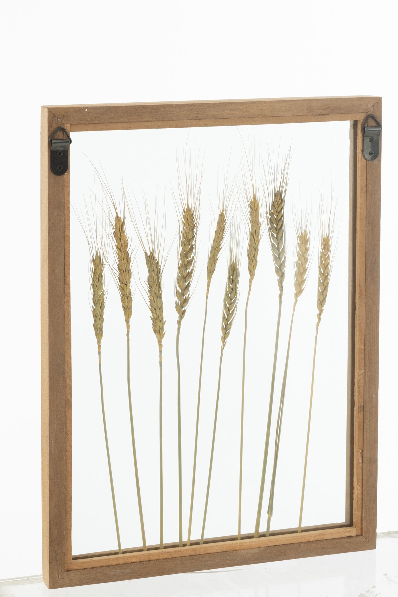 Wall Decoration Cereal Pinewood/Glass Transparent/Brown Assortment Of 2