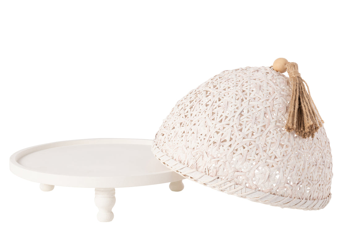 Vliegenkap Food Fir Wood White