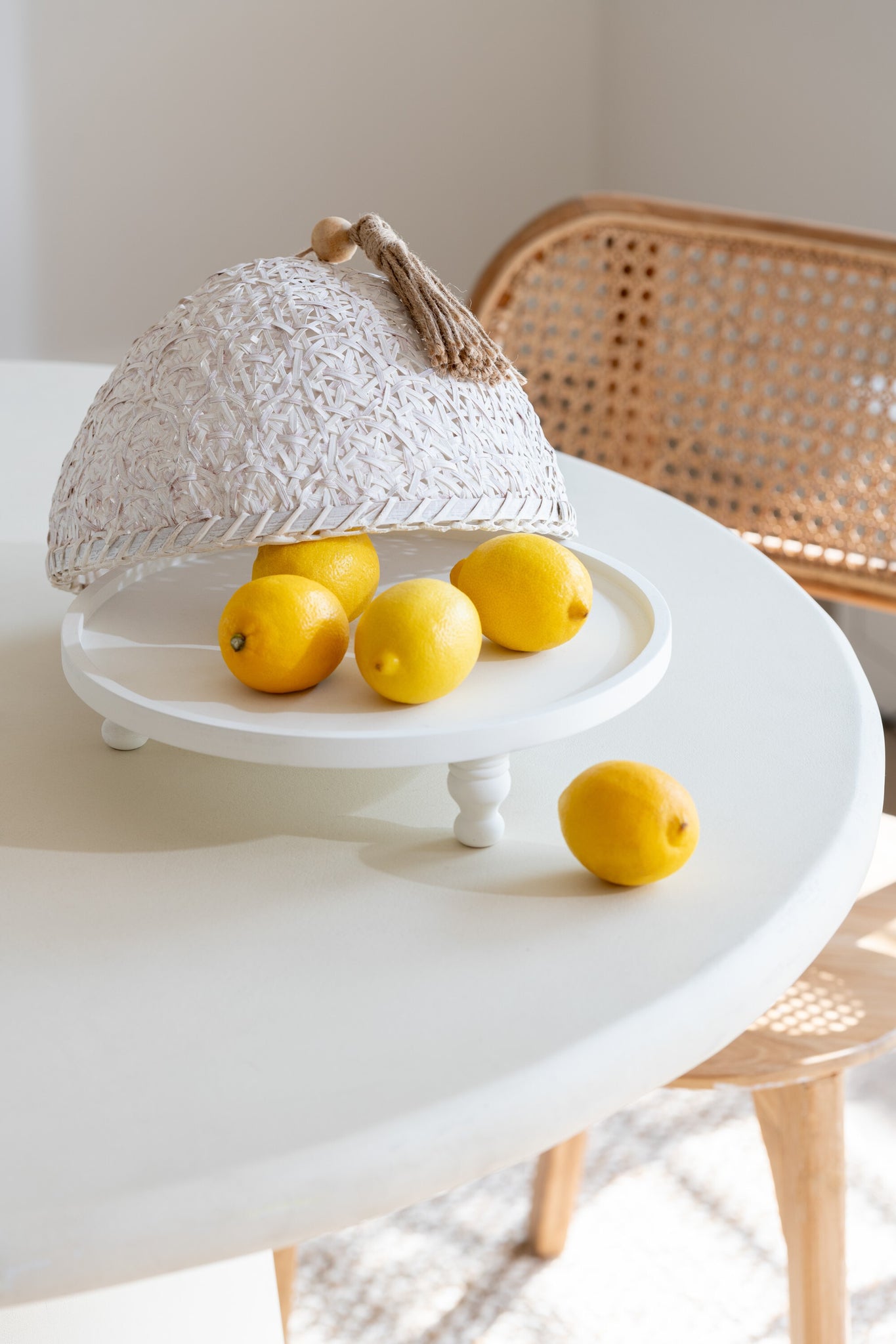 Vliegenkap Food Fir Wood White