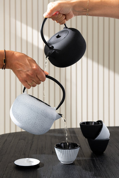 Doos van 1 theepot metaal zwart assortiment 2