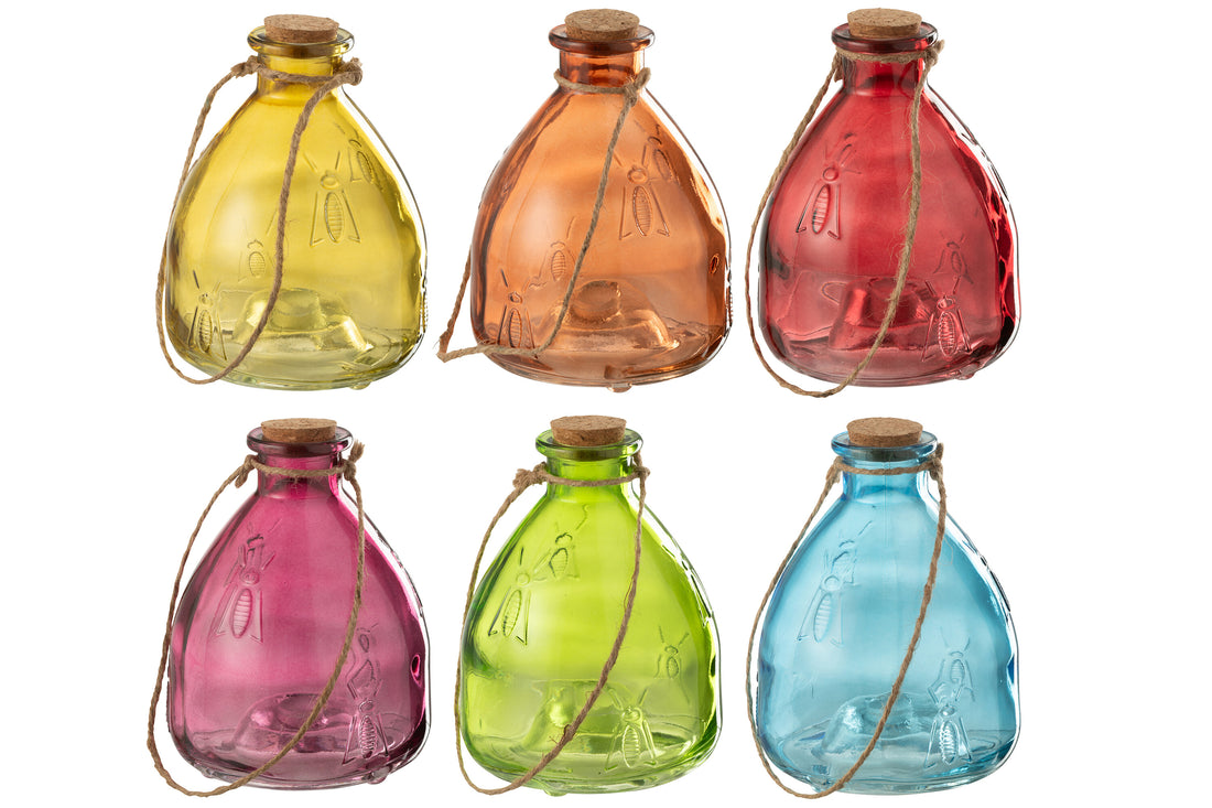 Wespenval Glas Mix L Assortiment Van 6 Op Dienblad