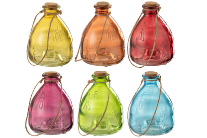 Wespenval Glas Mix L Assortiment Van 6 Op Dienblad