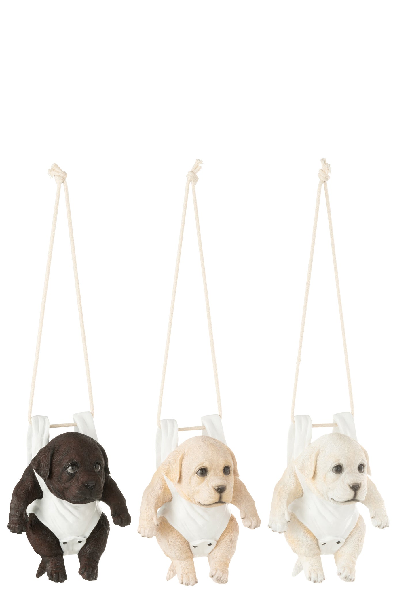 Dog+Diaper B Polyresin Mix Assortment Of 3