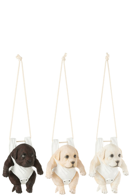 Dog+Diaper B Polyresin Mix Assortment Of 3