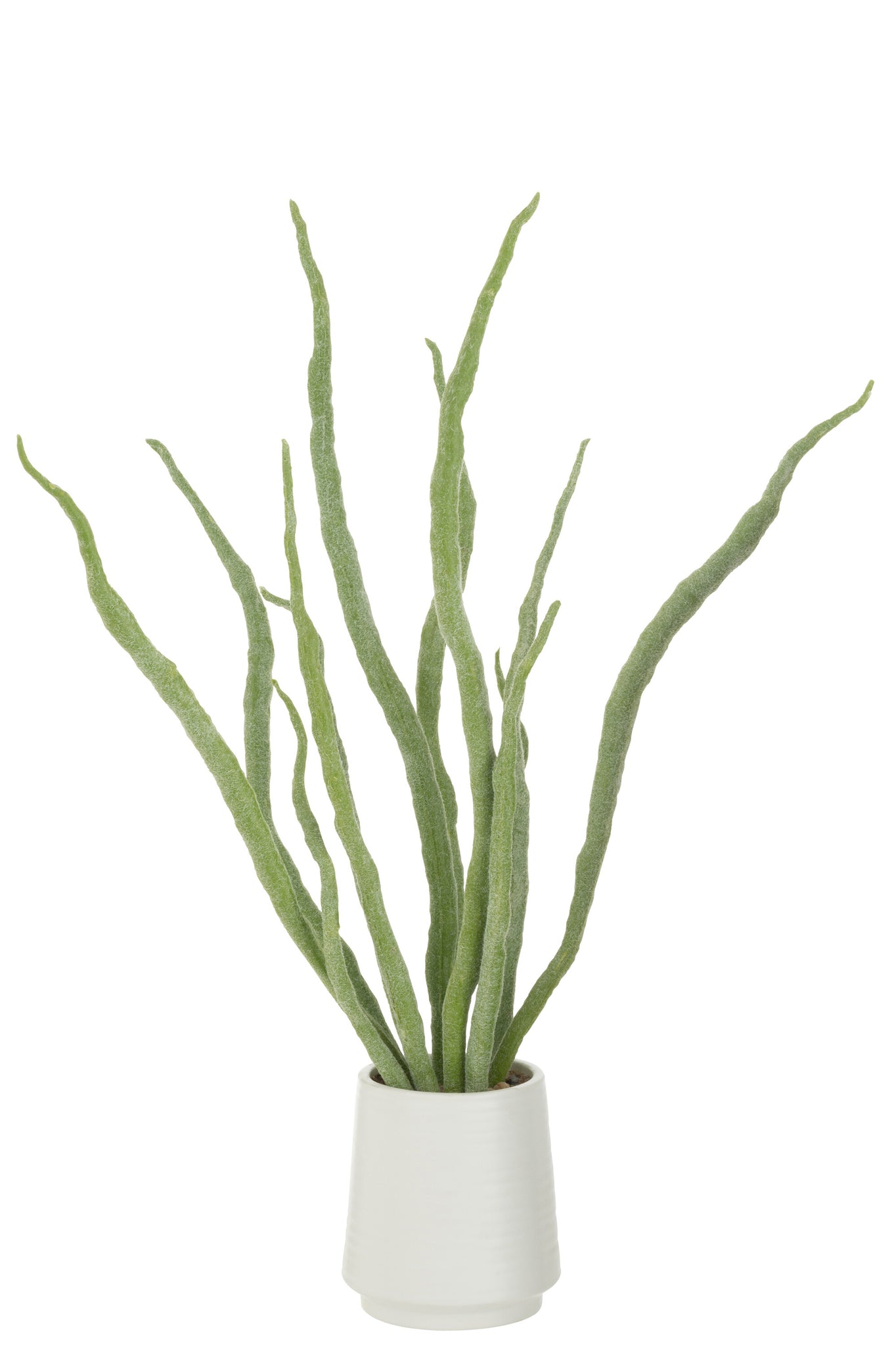 Sappige plant in pot kunstmatig groen