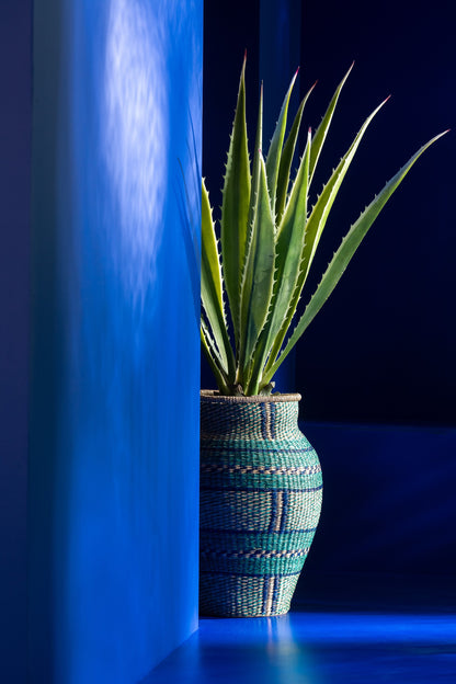 Agave Off-White Edge Pot Kunstgroen