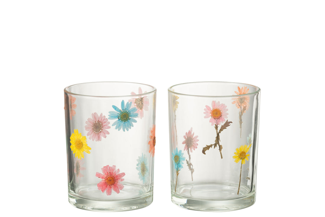 Orkaan Posy Groot Glas Mix Assortiment Van 2
