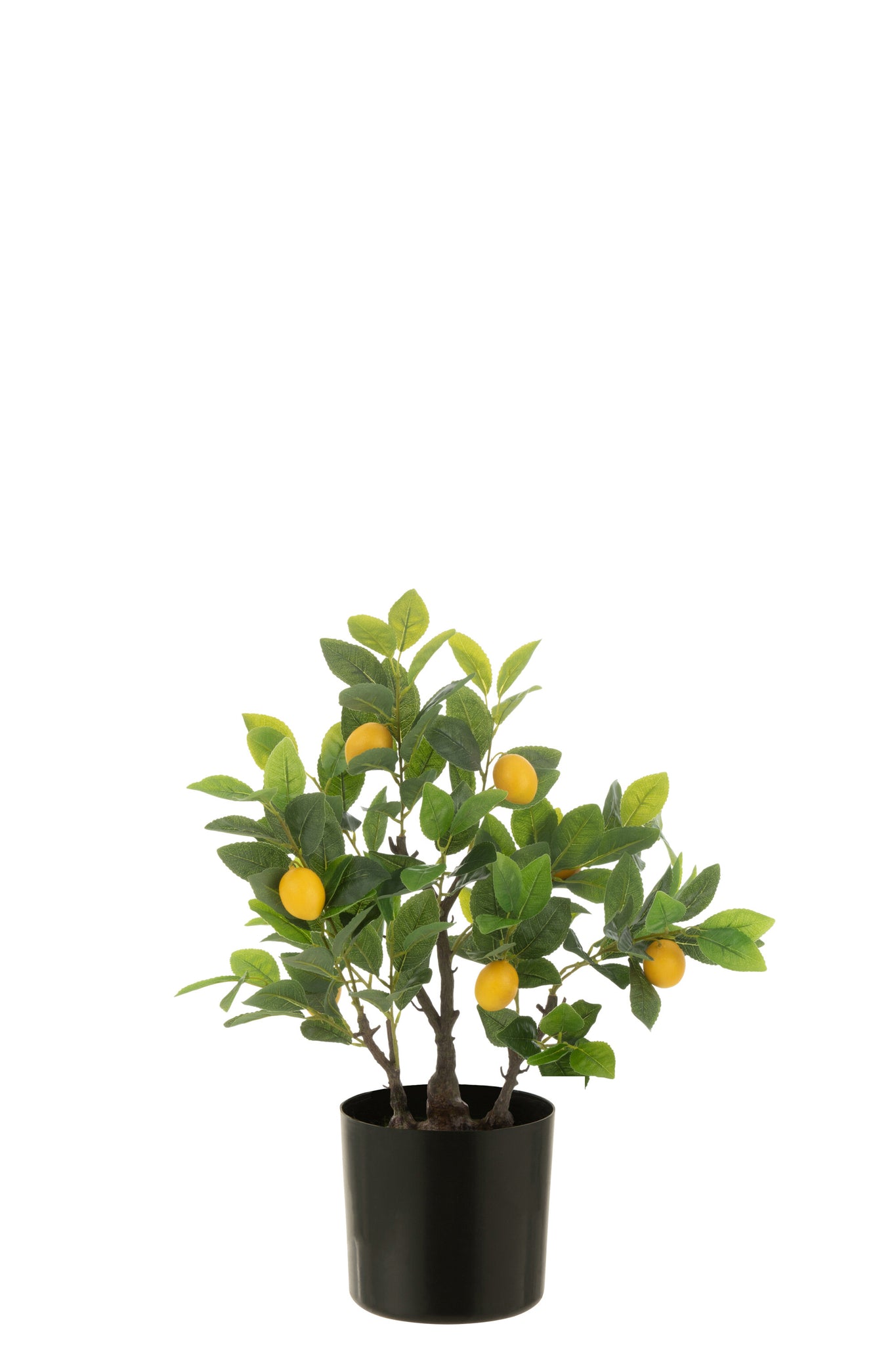 Pot met Citroenboom, kunststof Groen Klein