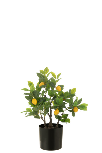 Pot met Citroenboom, kunststof Groen Klein