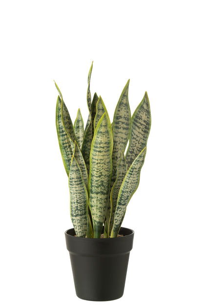 Dracaena Trifasciata In Pot Kunstmatig Groen Middelgroot