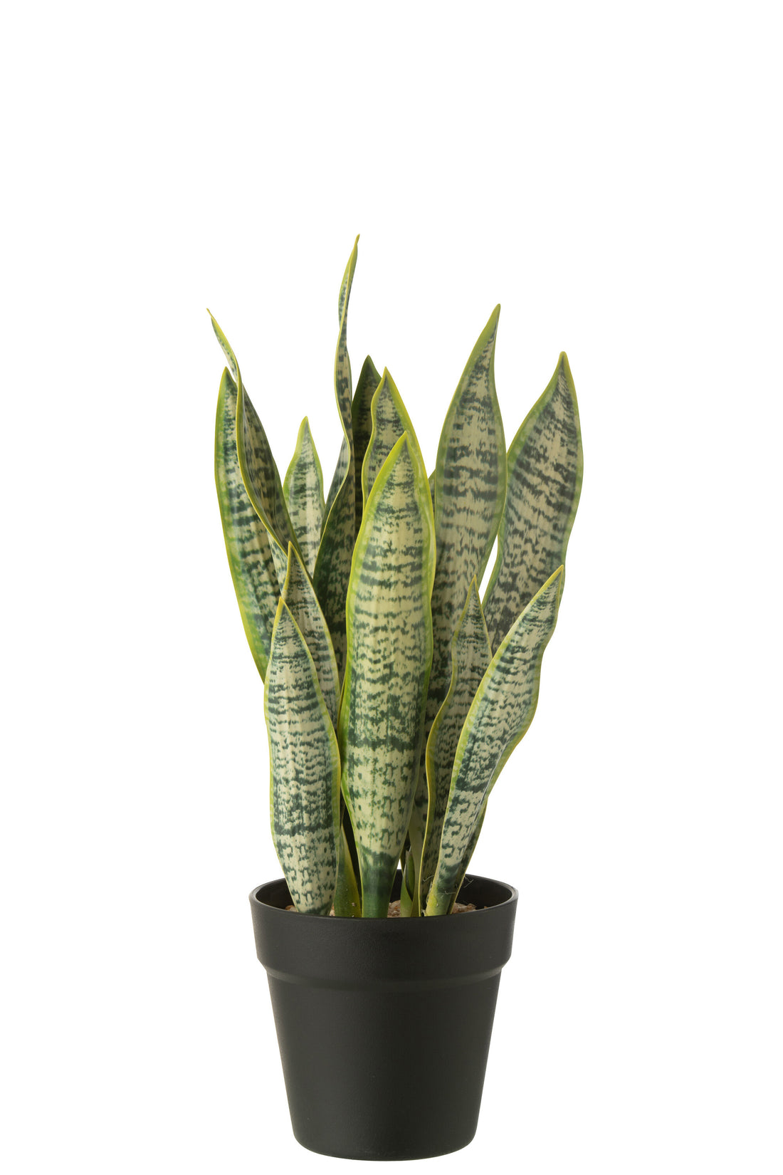 Dracaena Trifasciata In Pot Kunstmatig Groen Middelgroot