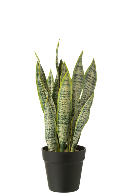 Dracaena Trifasciata In Pot Kunstmatig Groen Middelgroot