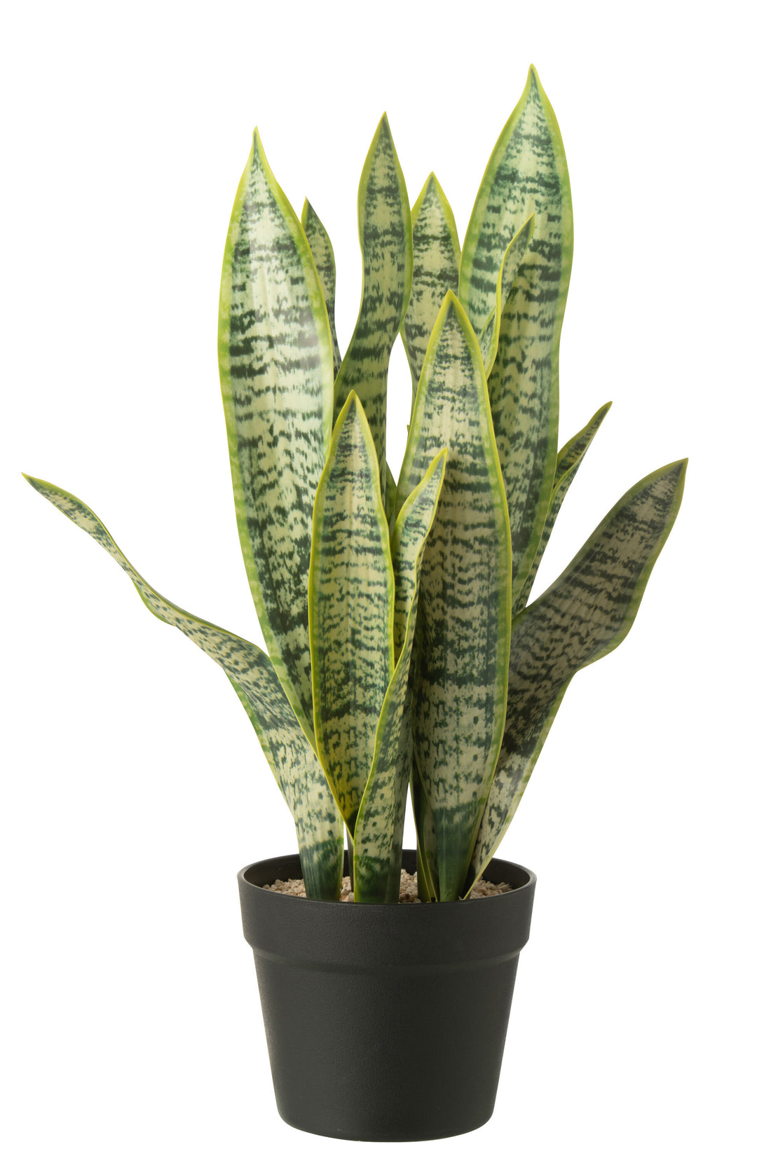 Dracaena Trifasciata In Pot Kunstmatig Groen Groot